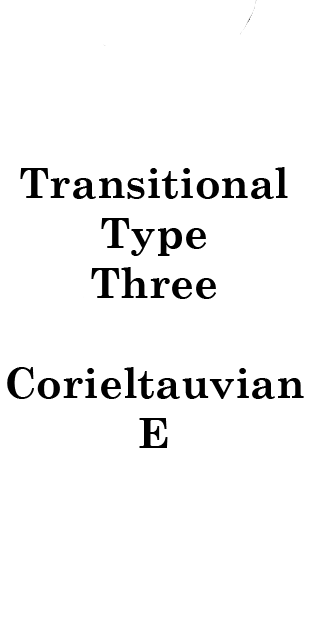 Transitional Type Three Label